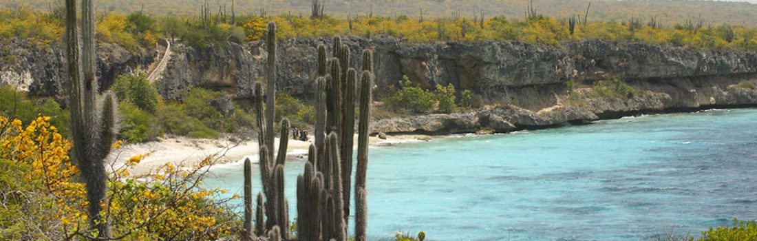 Bonaire’s quick facts